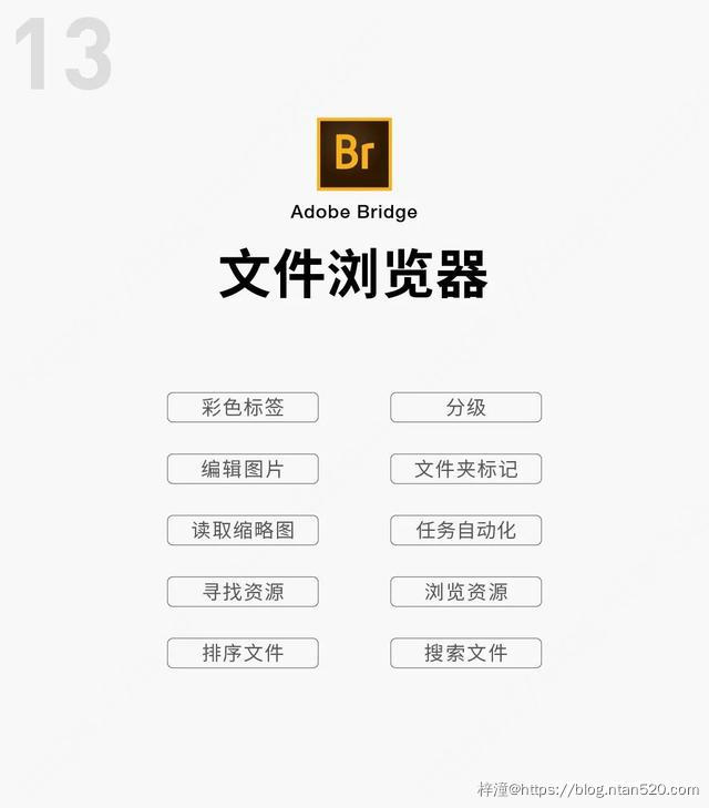 Adobe全家桶软件功能介绍（附下载链接）插图27