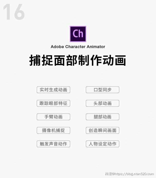 Adobe全家桶软件功能介绍（附下载链接）插图33