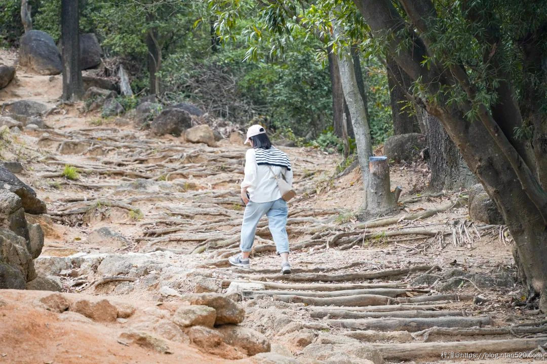 在深圳游玩,不得不去的50个地方插图90 在深圳游玩,不得不去的50个地方插图90