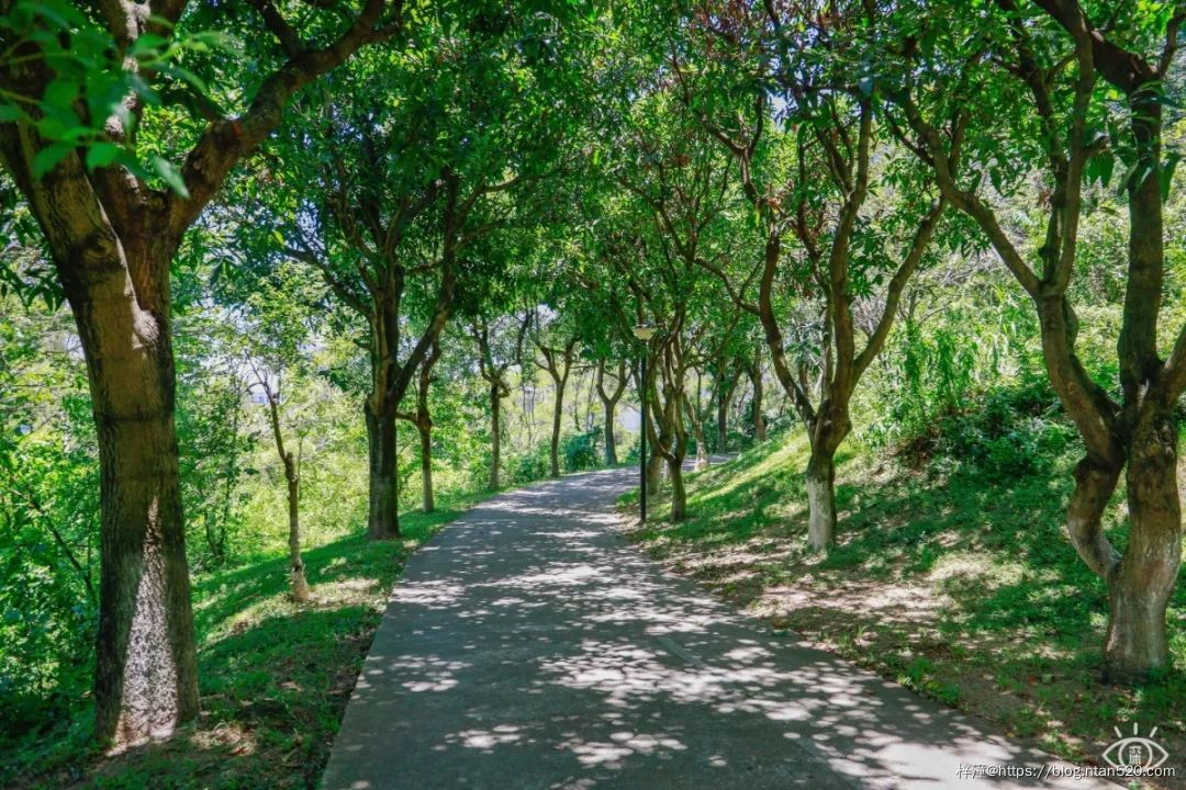 在深圳游玩,不得不去的50个地方插图72 在深圳游玩,不得不去的50个地方插图72