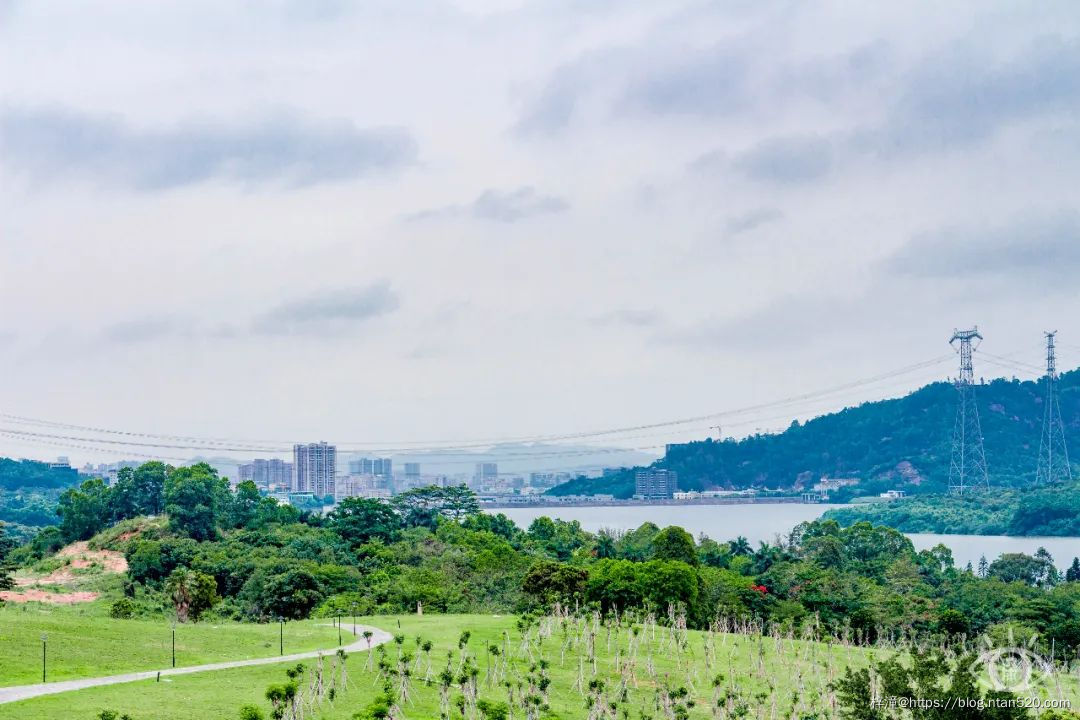 在深圳游玩,不得不去的50个地方插图92 在深圳游玩,不得不去的50个地方插图92