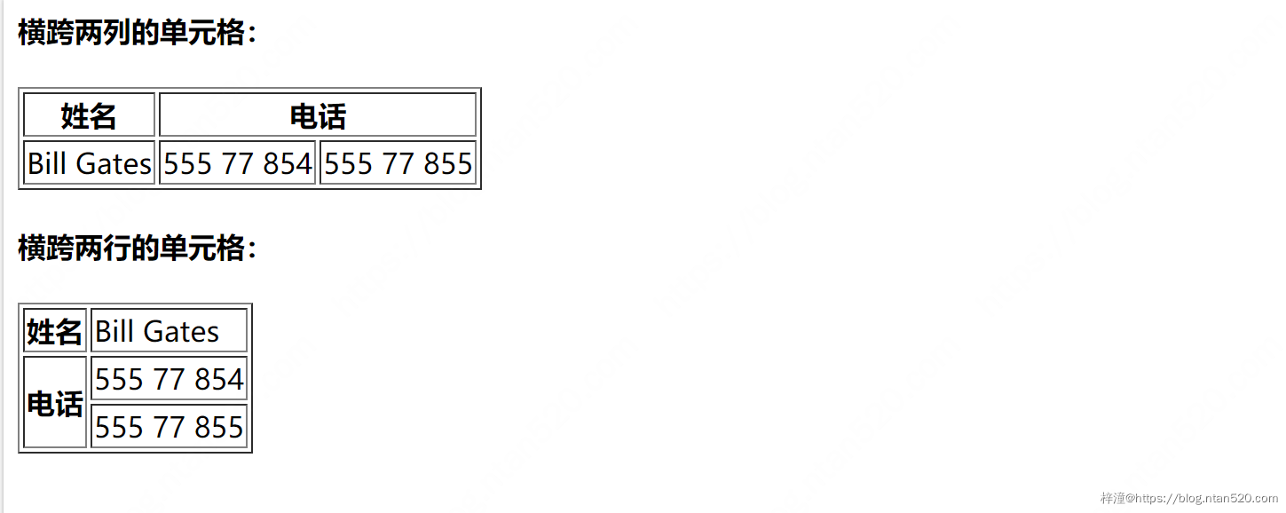 HTML Table表格详解插图37