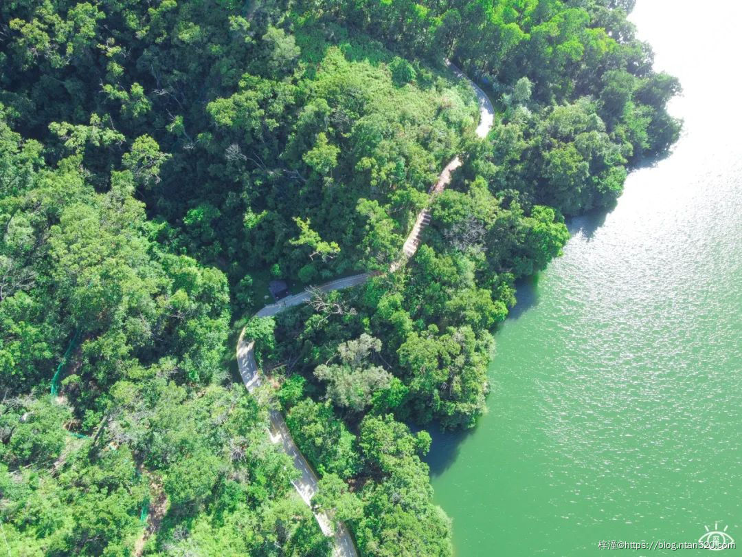 在深圳游玩,不得不去的50个地方插图94 在深圳游玩,不得不去的50个地方插图94