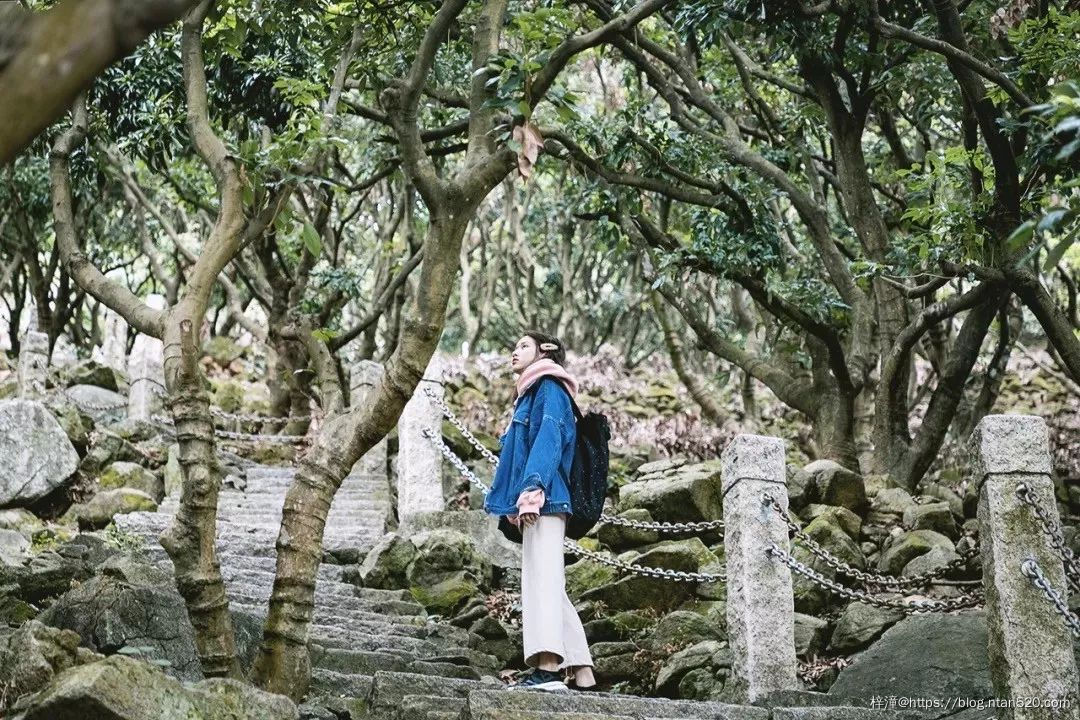 在深圳游玩,不得不去的50个地方插图40 在深圳游玩,不得不去的50个地方插图40