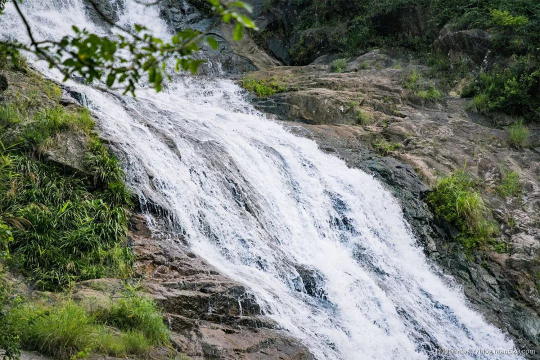 在深圳游玩，不得不去的50个地方插图35