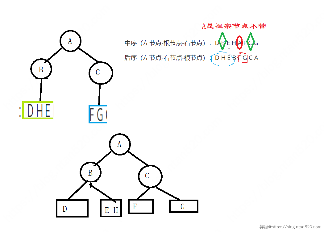 如何根据给定的两个二叉树遍历序列（前序中序、中序后序）确定二叉树插图13