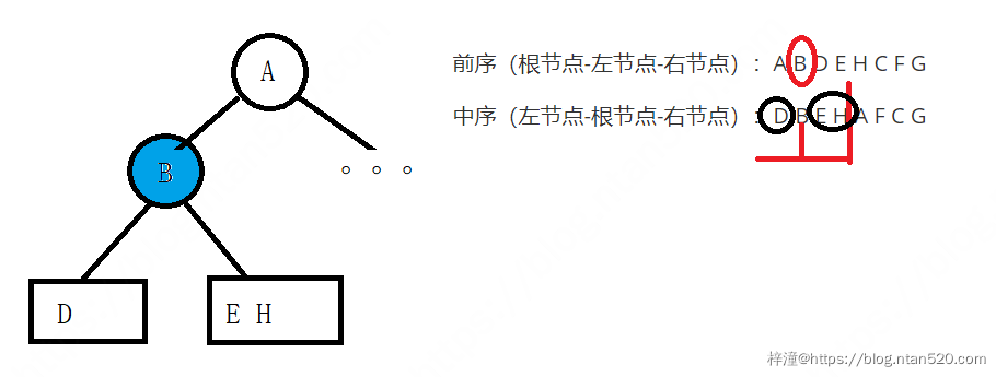 如何根据给定的两个二叉树遍历序列（前序中序、中序后序）确定二叉树插图3