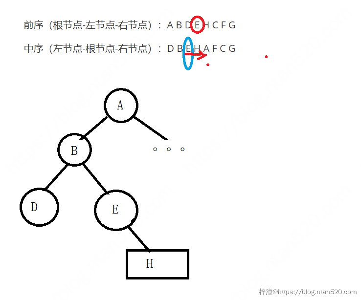 如何根据给定的两个二叉树遍历序列（前序中序、中序后序）确定二叉树插图5