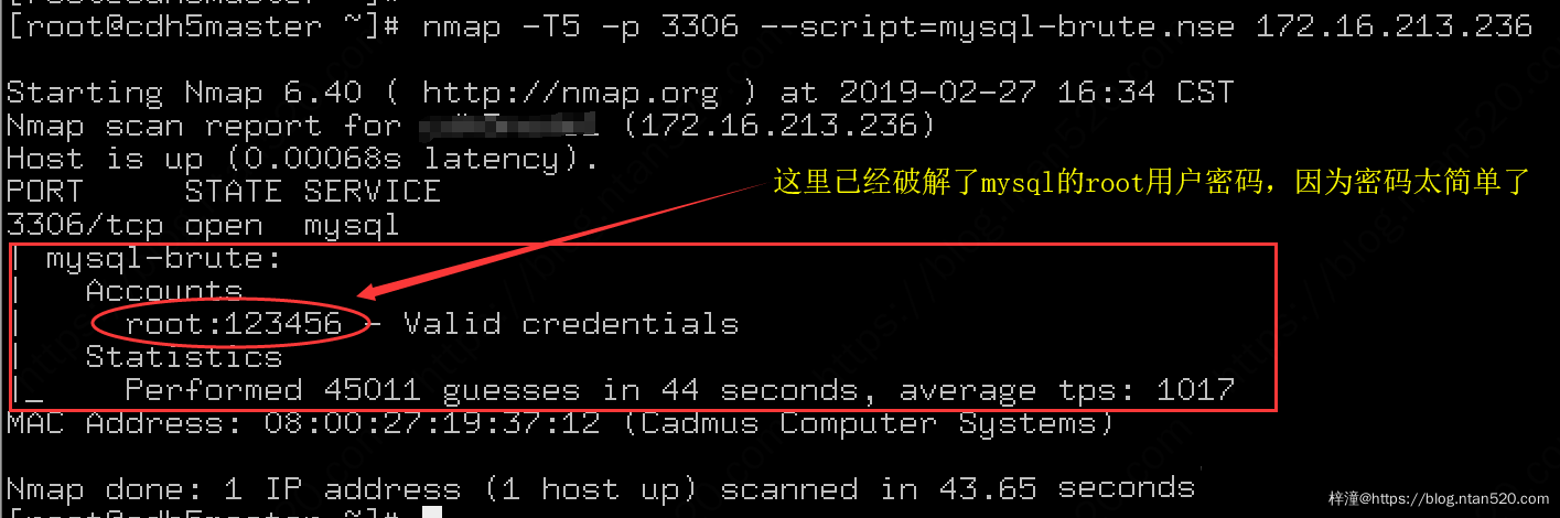 网络嗅探和安全审核工具nmap插图13